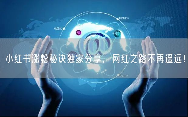 小红书涨粉秘诀独家分享,网红之路不再遥远!