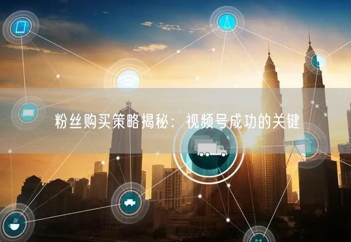 粉丝购买策略揭秘:视频号成功的关键