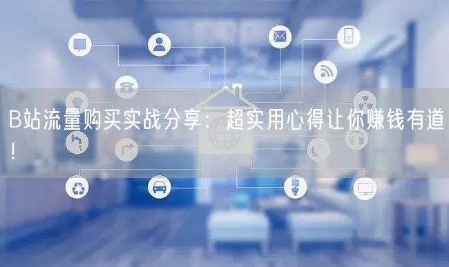 B站流量购买实战分享:超实用心得让你赚钱有道!