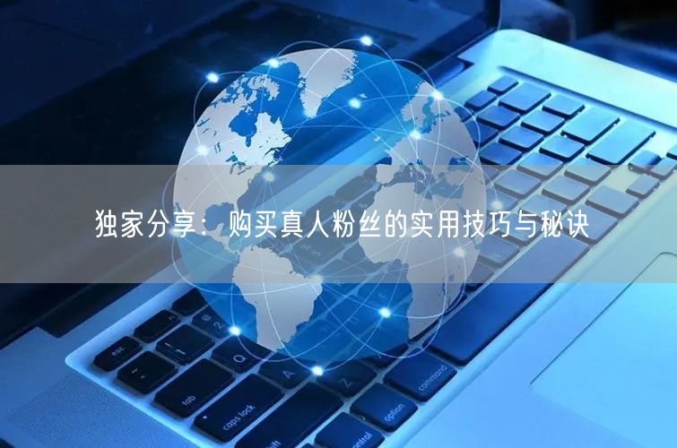 独家分享：购买真人粉丝的实用技巧与秘诀
